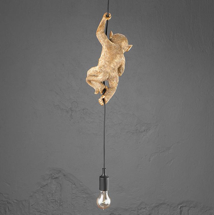 Подвесной светильник Обезьяна Чип Ceiling Lamp Monkey Chip