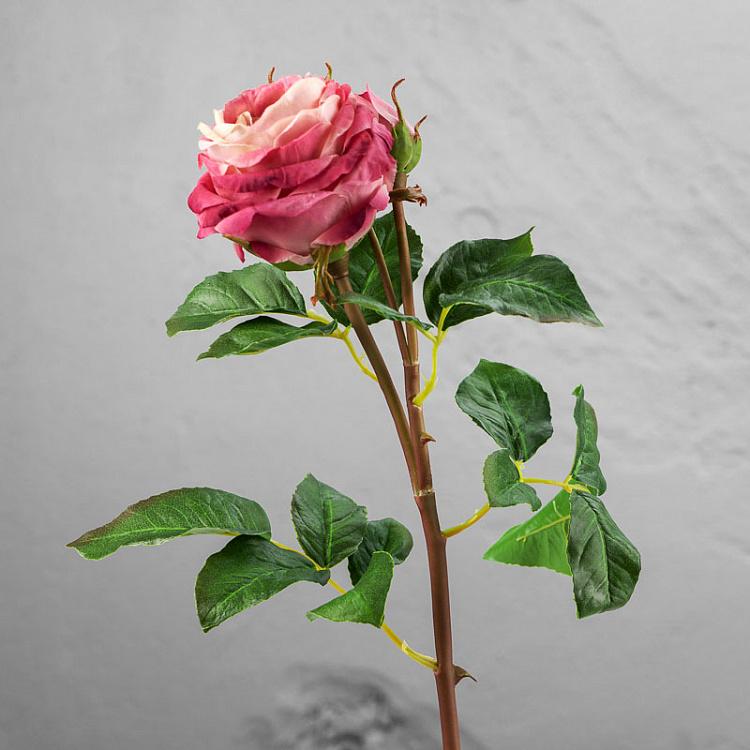 Искусственная роза Дэвид Остин пудрово-розовая David Austin Rose Branch Powder Pink 50 cm