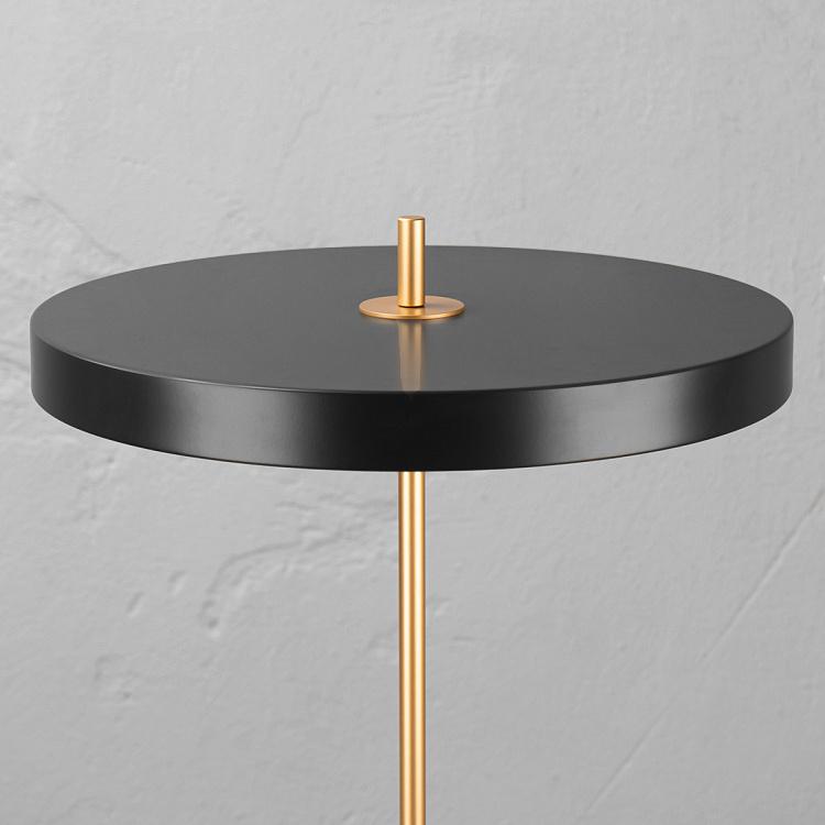 Торшер светодиодный Астерия Asteria Floor Lamp