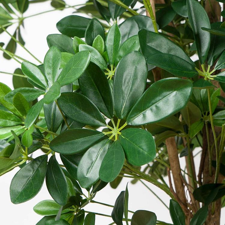 Искусственное дерево Umbrella Schefflera Green 170 cm - ракурс 3