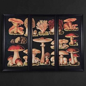 Set Of 3 Mushrooms
