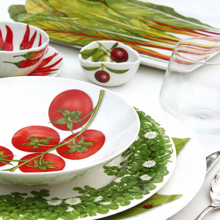 Прямоугольная сервировочная тарелка Средиземноморская диета Травы Dieta Mediterranea Erbette Rectangle Serving Plate