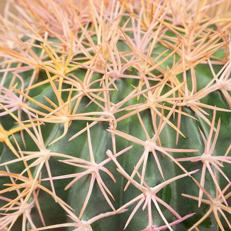Искусственный кактус Баррель, S Barrel Cactus Small 27 cm