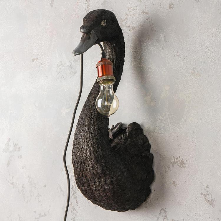 Бра Чёрный лебедь Петра Wall Lamp Petra Black