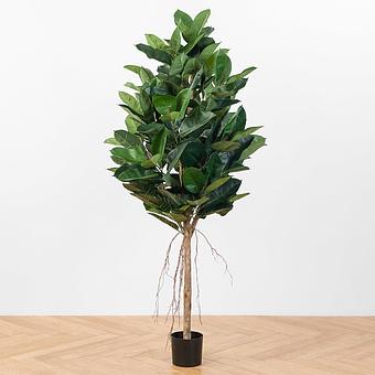 Искусственное растение Elastica Ficus Tree 180 cm