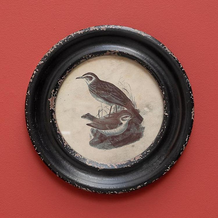Картина-принт в круглой раме Птицы с длинным клювом Oiseau Long Bec Cadre Rond