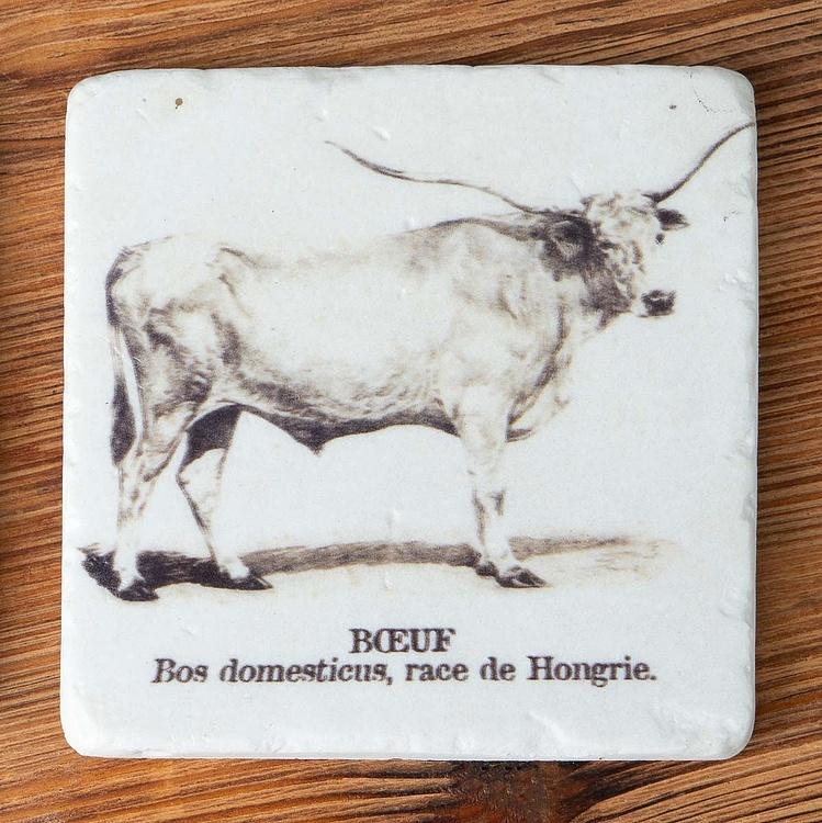 Набор из четырёх подставок под стаканы Коровы Set Of 4 Stone Coasters Cows