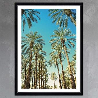 Фото-принт Beverly Hills Palms, Studio Frame