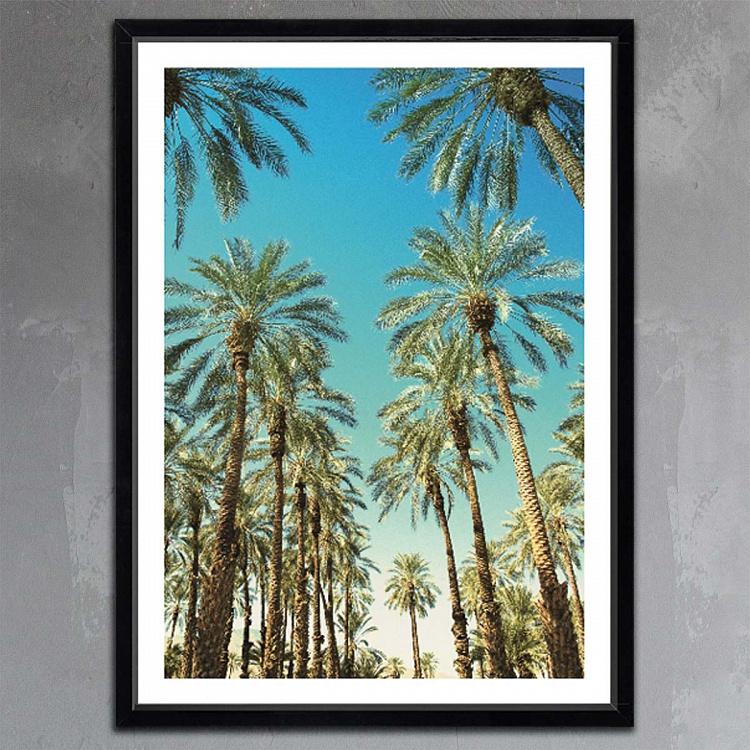 Фото-принт в чёрной раме Пальмы Беверли-Хиллз Beverly Hills Palms, Studio Frame