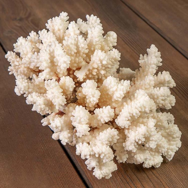 Винтажный натуральный морской коралл 6 Vintage Coral 6