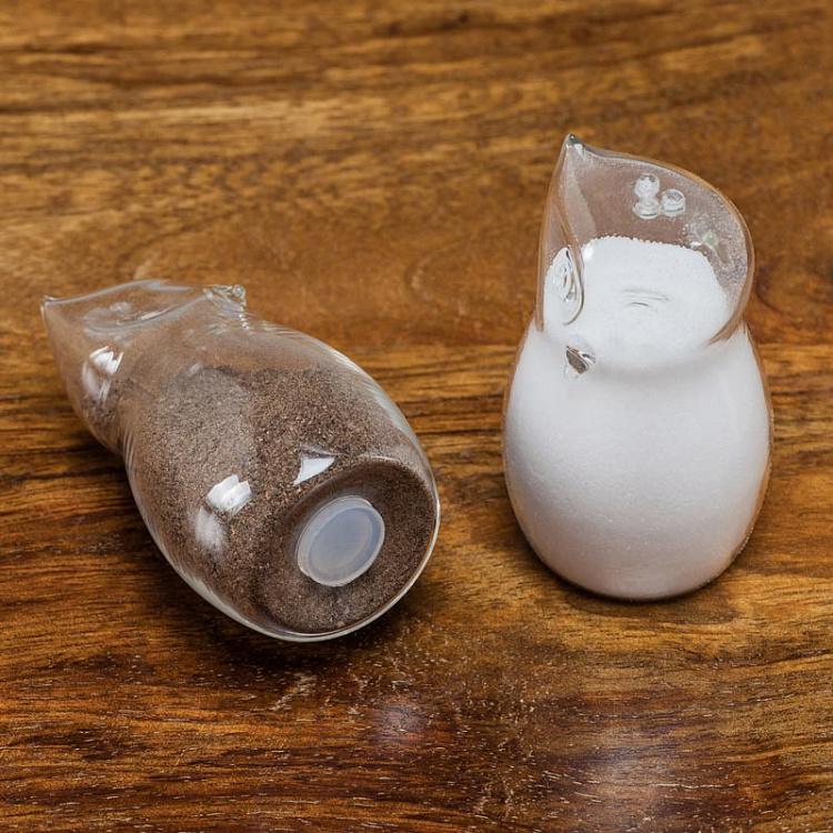 Набор для специй Совы Salt And Pepper Owls In Clear Glass