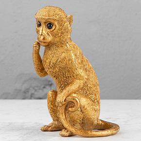 Golden Monkey With Black Shiny Eyes