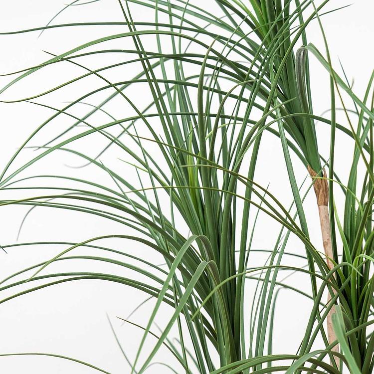 Искусственное дерево Nitida Nolina 150 cm - ракурс 2