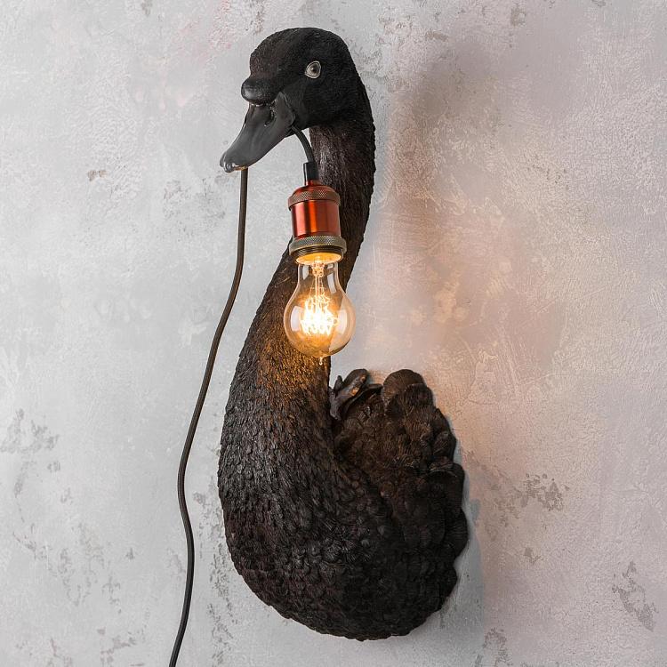 Бра Чёрный лебедь Петра Wall Lamp Petra Black