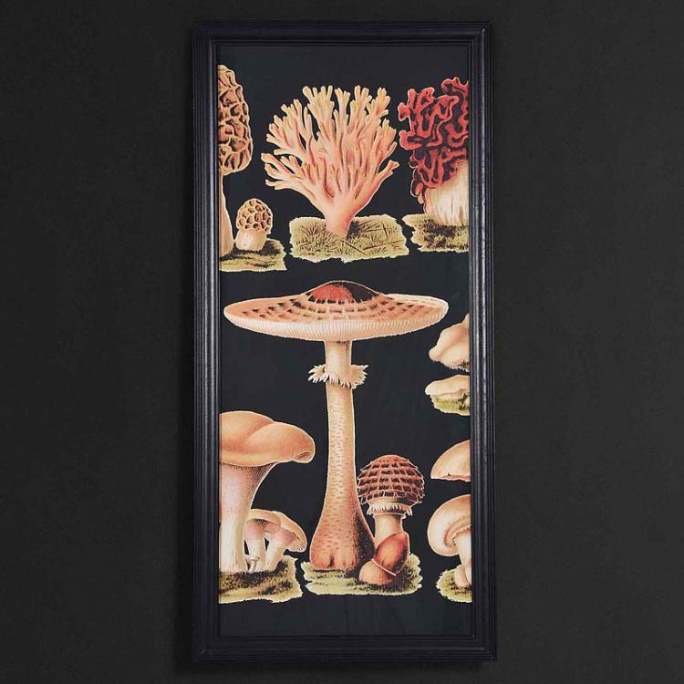 Картина-принт Грибы, центральная часть Mushrooms Center