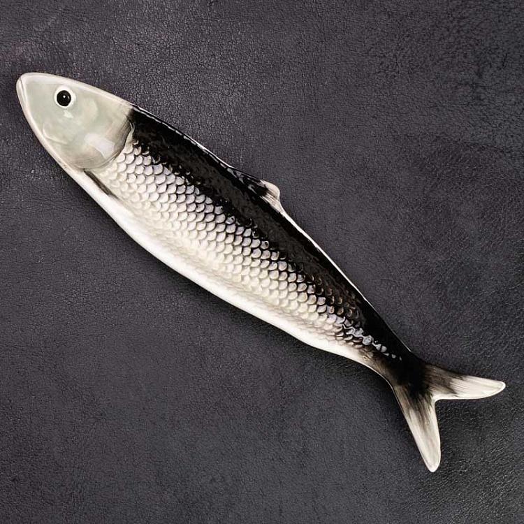 Grey Sardine Shape Dish