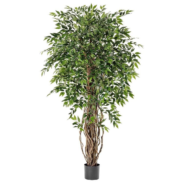 Искусственное дерево De Luxe French Ficus Liana 210 cm