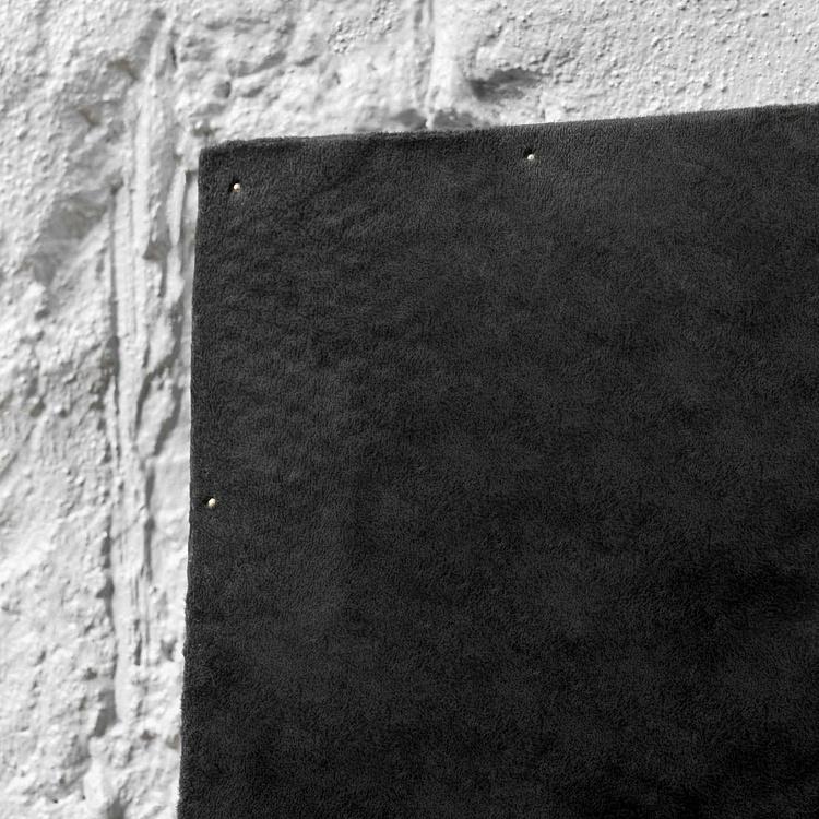 Картина-принт Чёрный какаду Calyptorhynchus Funereus Print