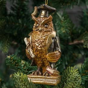 Wise Owl In Oxford Cap 11 cm
