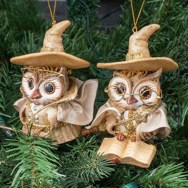 Набор из 2-х ёлочных игрушек Мудрые совы Set Of 2 Wizard Boy And Girl Owl Gold/Cream 15 cm