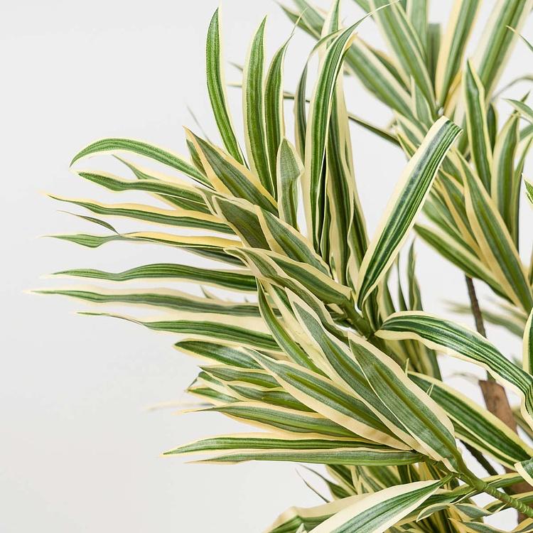 Искусственное дерево Golden Dracaena Reflexa 120 cm - ракурс 3