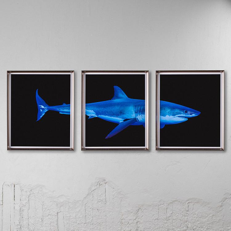 Модульный фото-принт в деревянной раме Большая белая акула Set Of 3 Great White Shark, Pewter Frame