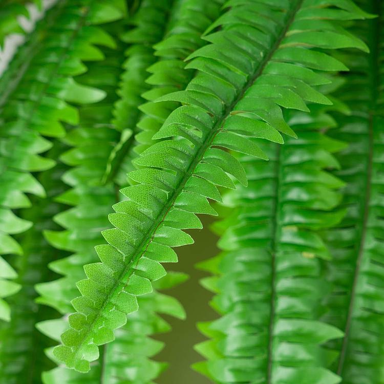 Искусственное растение Boston Fern Hanging 150 cm - ракурс 3