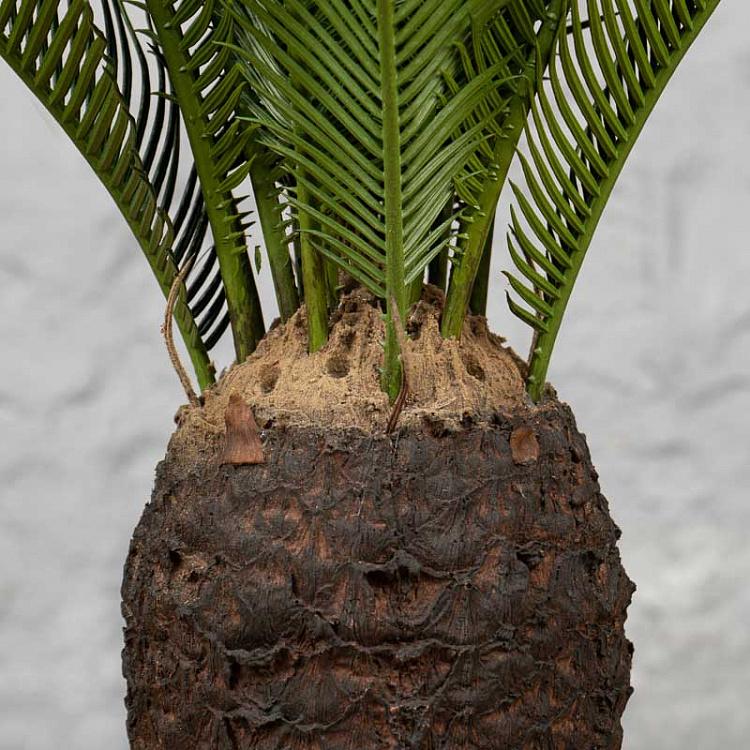 Искусственная пальма Цикас Cicas Palm 65 cm