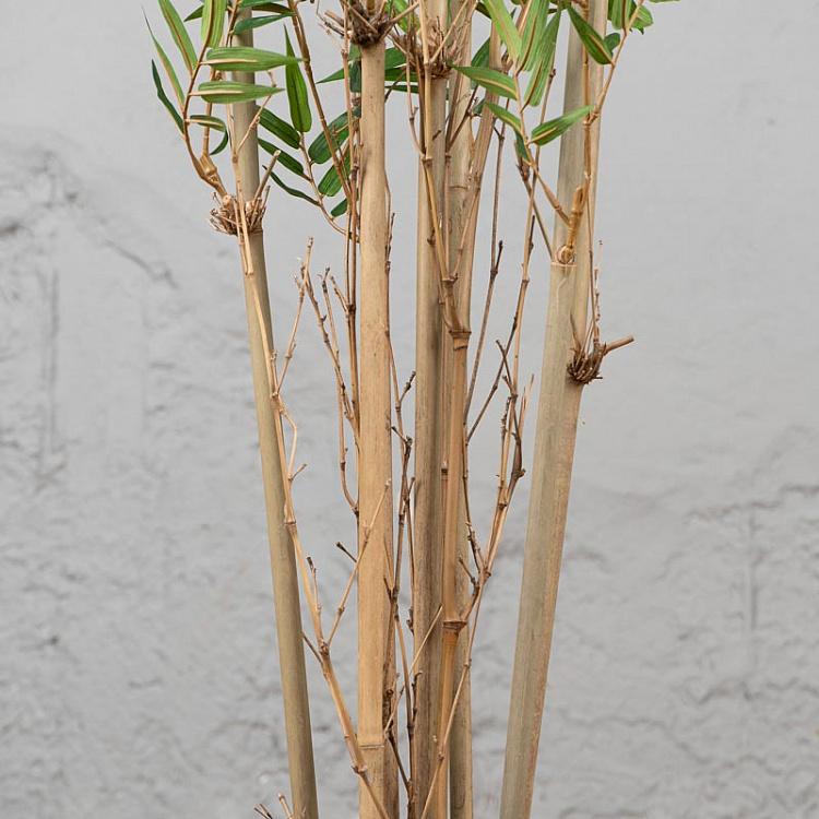 Искусственный бамбук Японский ориенталь, L Japanese Oriental Bamboo 180 cm