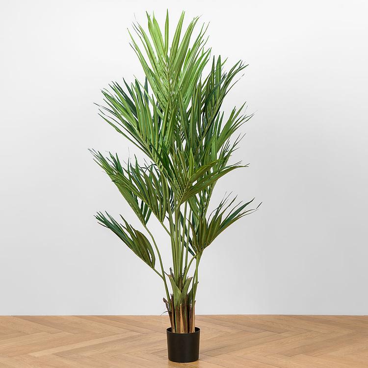Искусственное дерево De Luxe Kentia Palm 170 cm - ракурс 2
