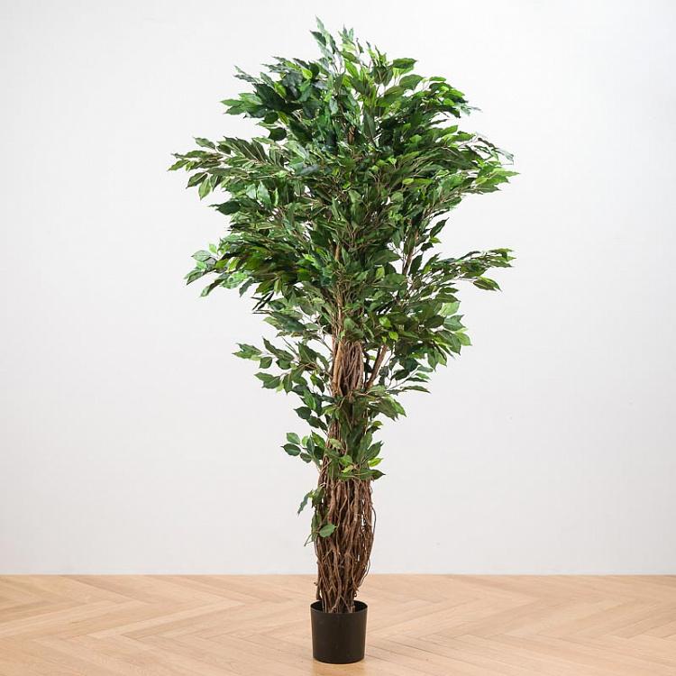 Искусственный фикус Лиана Де люкс, S De Luxe Ficus Liana 180 cm