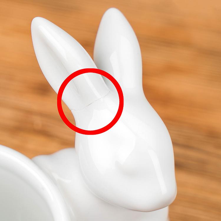 Стакан для зубных щеток Rabbit Toothbrushes Glass 2 discount1 - ракурс 3