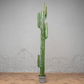 Искусственное растение Cereus Mexican Cactus 200 cm