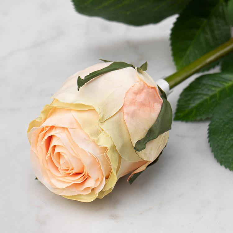 Искусственная роза Эсперанса бледно-розовая с лаймом Esperanza Rose Pale Pink Lime 49 cm