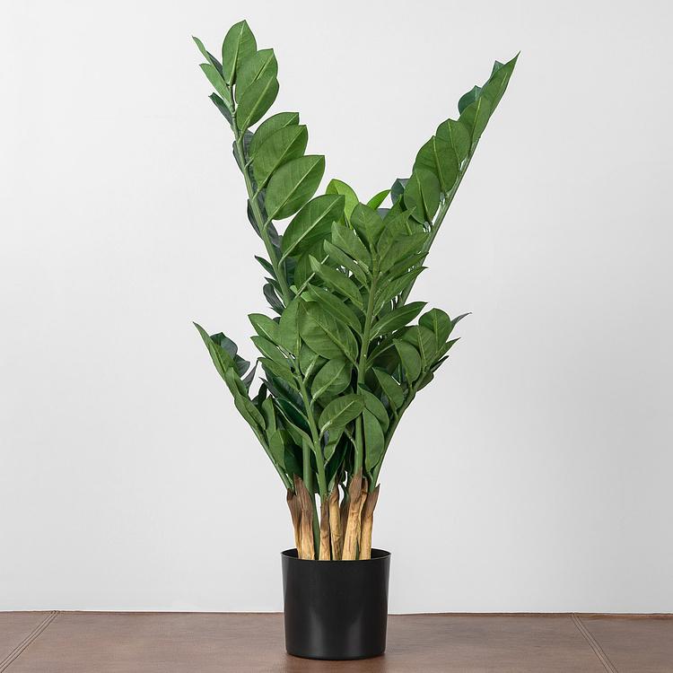 Искусственное растение Zamiokulkas Middle Bush 75 cm - ракурс 2