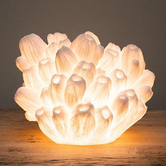 Arbuscular Table Lamp