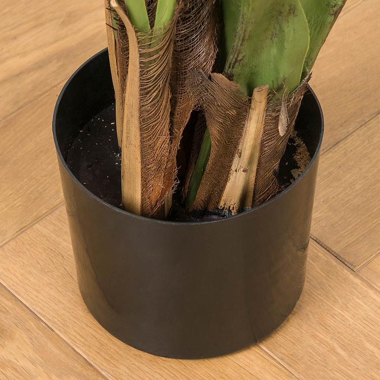 Искусственное дерево De Luxe Kentia Palm 170 cm - ракурс 5