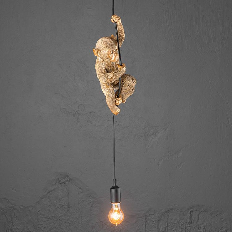 Подвесной светильник Обезьяна Чип Ceiling Lamp Monkey Chip