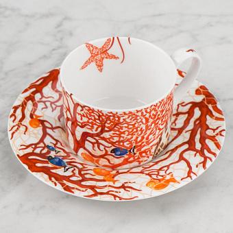 Mare Tea Cup And Saucer