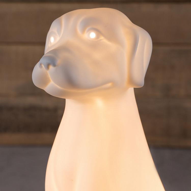 Фарфоровая настольная лампа Собака Porcelain Table Lamp Dog