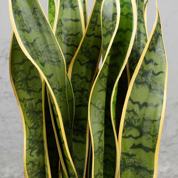 Искусственный куст сансевиерии Sansevieria Bush 80 cm