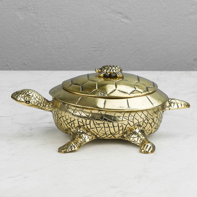 Шкатулка Золотистая мама-черепаха Turtle Box