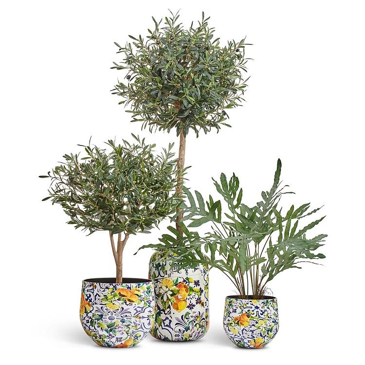 Кашпо Effectory Savage Garden Bowl Pot Capri Medium - ракурс 3