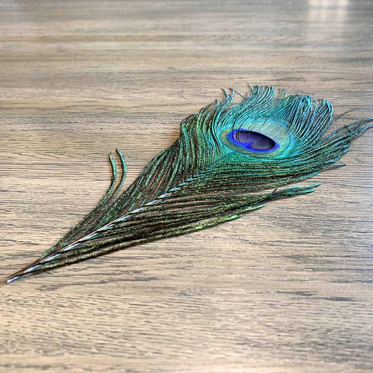 Винтажное перо павлина, XS Vintage Peacock Feather Extra Small