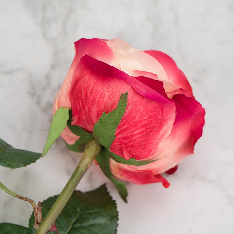 Искусственная роза Джема персиково-малиновая Gemma Rose Pale Peach With Crimson 56 cm