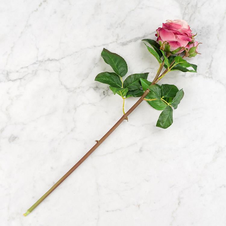 Искусственная роза Дэвид Остин пудрово-розовая David Austin Rose Branch Powder Pink 50 cm