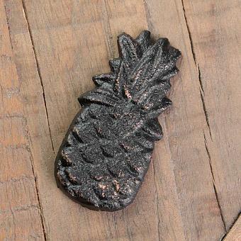 Pineapple With Magnet