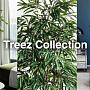 Вечнозелёные растения, шёлковые цветы и оригинальные кашпо - новинки от Treez Collection