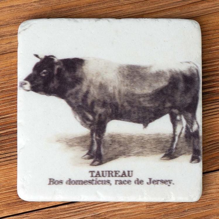 Набор из четырёх подставок под стаканы Коровы Set Of 4 Stone Coasters Cows