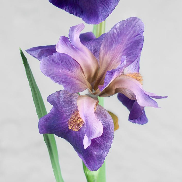 Искусственный цветок Siberica Iris Dark Lilac 80 cm - ракурс 2